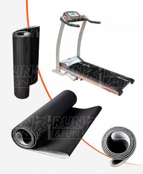 American Motion Fitness AMF AC1-L